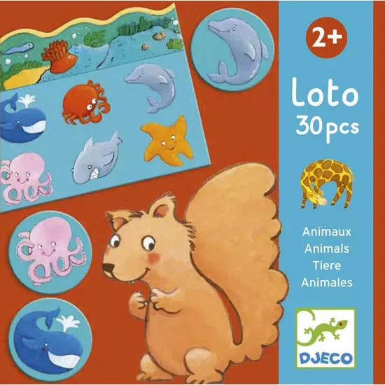Képeslottó - Állatok élőhelye - Animals loto - Djeco