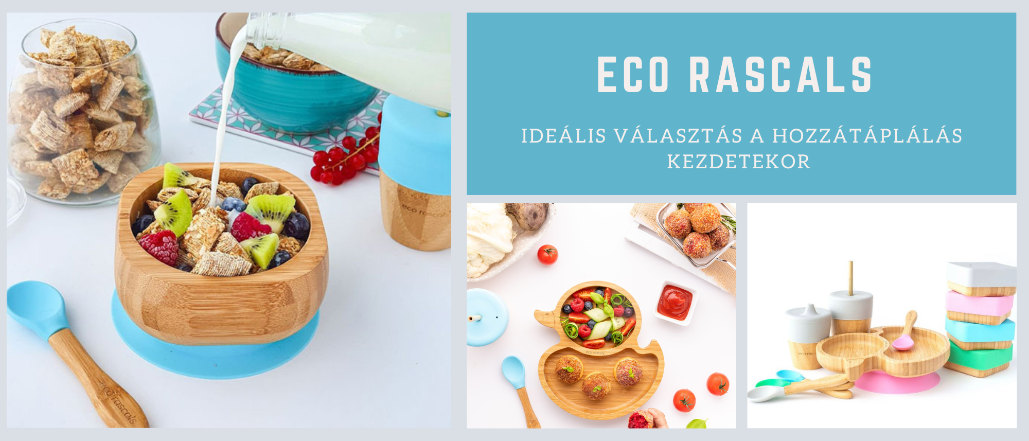 Eco Rascals